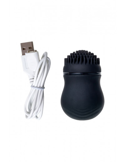 Черный стимулятор клитора PPP CURU-CURU BRUSH ROTER