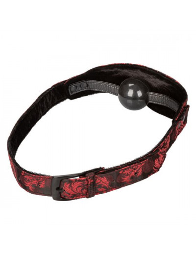 Закрытый кляп-шарик Hidden Pleasure Ball Gag