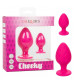 Набор из двух розовых анальных пробок Cheeky