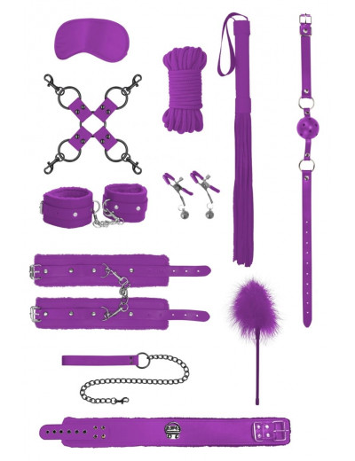 Фиолетовый игровой набор БДСМ Intermediate Bondage Kit