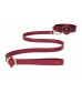 Бордовый ошейник с поводком Collar With Leash