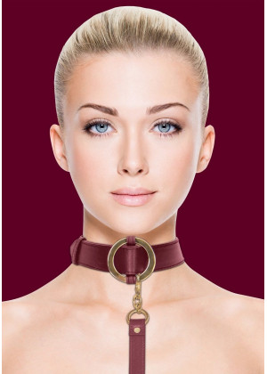 Бордовый ошейник с поводком Collar With Leash