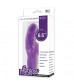 Фиолетовый вибратор с клиторальным стимулятором MATES FANTASY RECHARGE VIBRATOR - 17 см.