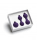 Набор из 3 фиолетовых вагинальных шариков Kegel Training Set